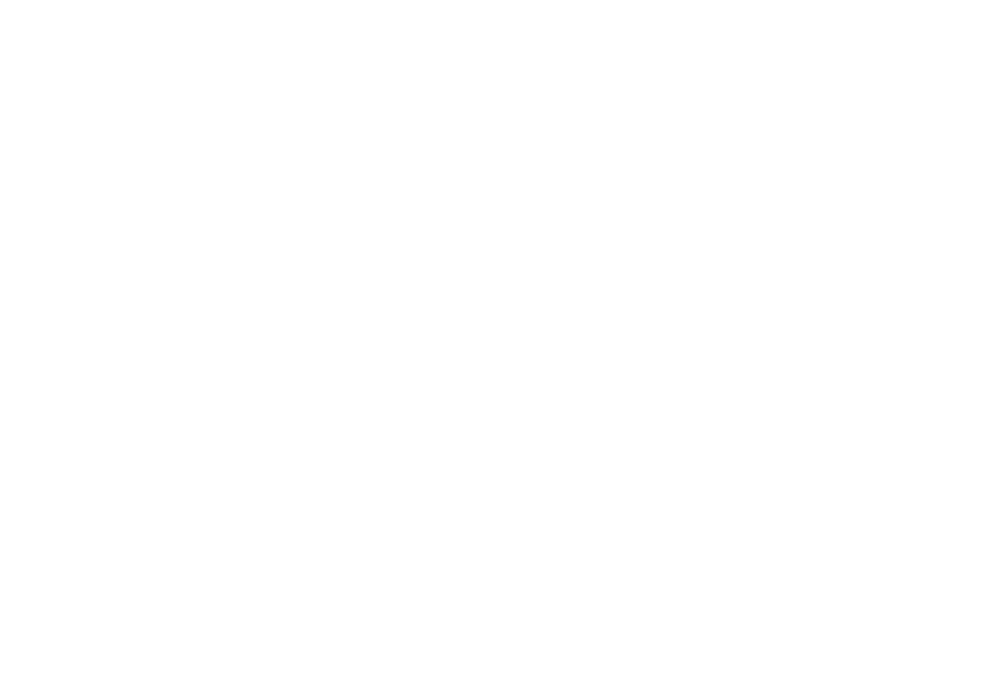 Logo TNDR